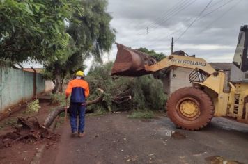 PREFEITURA REALIZA LIMPEZA NA CIDADE DEVIDO A FORTE CHUVA QUE ATINGIU NOSSA CIDADE