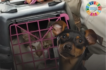 MAIS CUIDADO, SAÚDE E RESPONSABILIDADE COM OS NOSSOS ANIMAIS!
