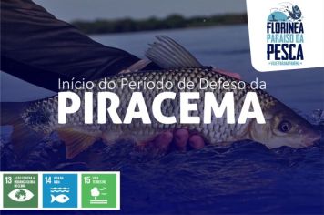 PREFEITURA DE FLORÍNEA ALERTA SOBRE O INÍCIO DO DEFESO DA PIRACEMA