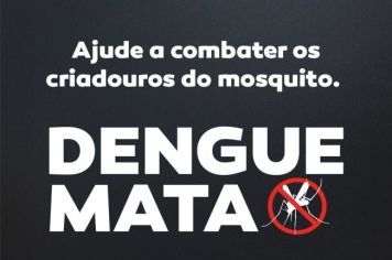 DENGUE MATA