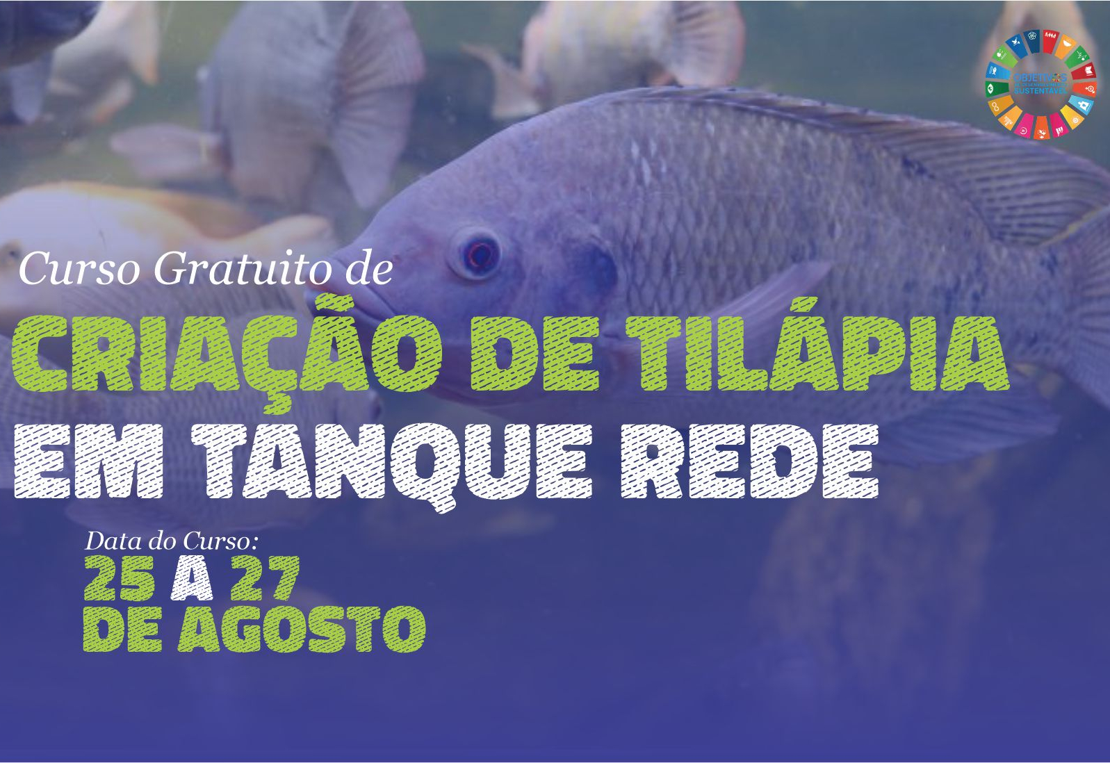 CURSO DE CRIAÇÃO DE TILÁPIA EM TANQUE REDE