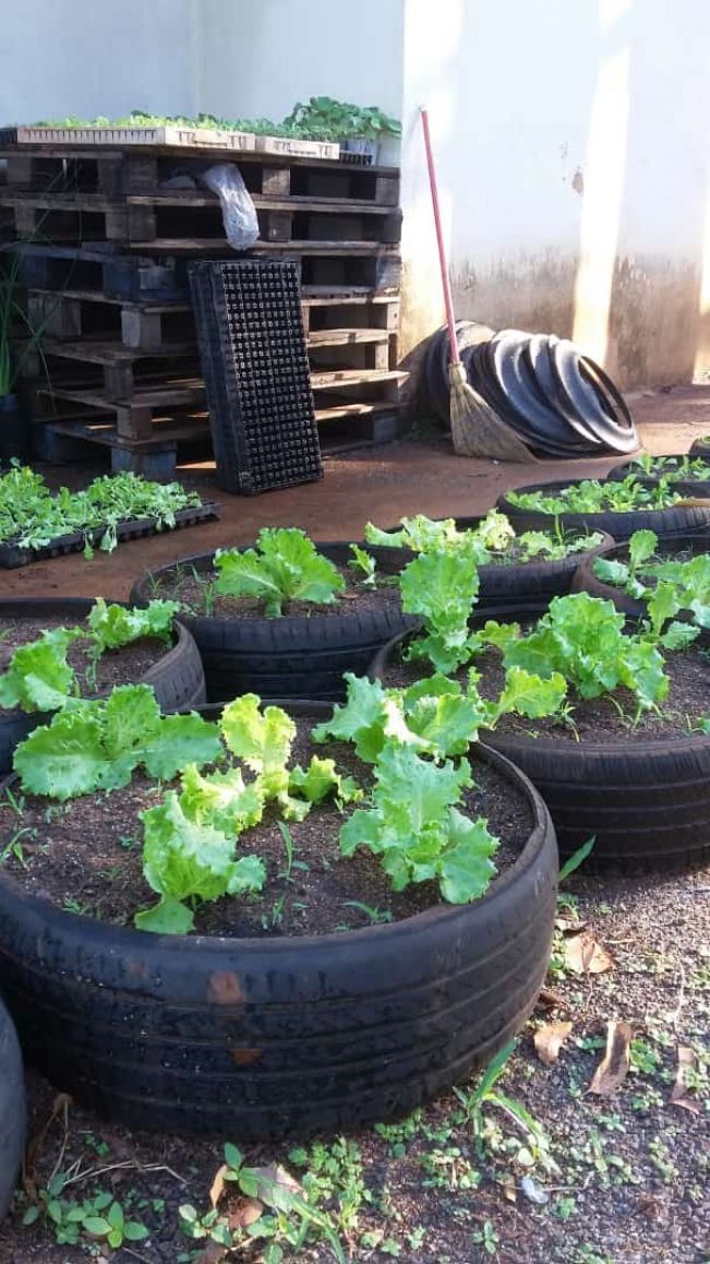 FLORÍNEA REALIZA PROJETO DE EDUCAÇÃO AMBIENTAL PARA MELHOR IDADE