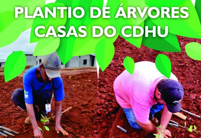 PREFEITURA REALIZA PLANTIO DE ARVORES NO CONJUNTO HABITACIONAL FLORÍNEA E DA CDHU