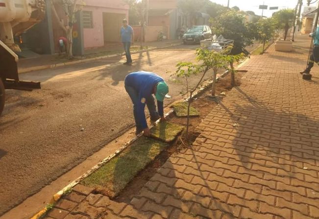 ESPAÇO ÁRVORE E CALÇADA ECOLÓGICA