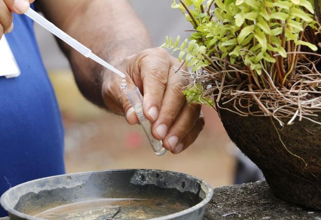 PREFEITURA INFORMA POPULAÇÃO SOBRE CUIDADOS EM RELAÇÃO À DENGUE