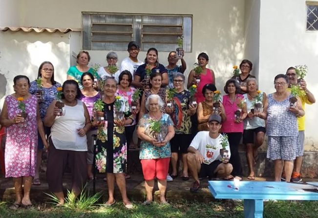 DIRETORIA DO MEIO AMBIENTE REALIZA PLANTIO DE MUDAS FLORAIS NO CCI